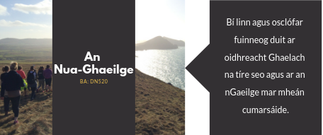 An Nua-Ghaeilge. Bí linn agus osclófar fuinneog duit ar oidhreacht Ghaelach na tíre seo agus ar an nGaeilge mar mheán cumarsáide.